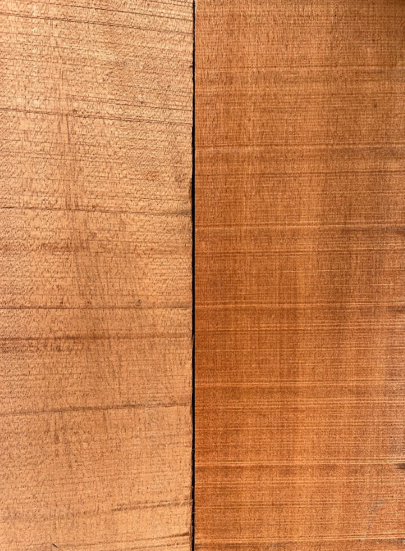 Por Especies Vegetales